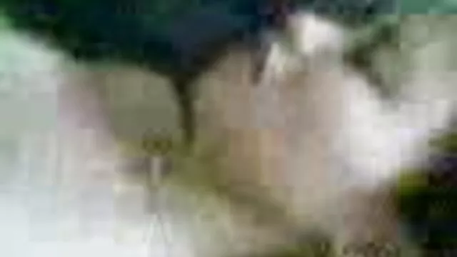 A libidós csajok Heather és Suki egymás muffjait csiszolják és szex video szenvedélyesen csókolóznak