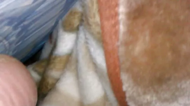 Dögös Megan Fenox csinos arcát összezavarja a kövér arcápoló cumshottal szexfilmekingyen