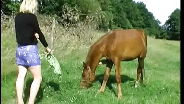 Csábító barna ribanc élvezte a dögös hármast két aranyos perverz szex filme sráccal